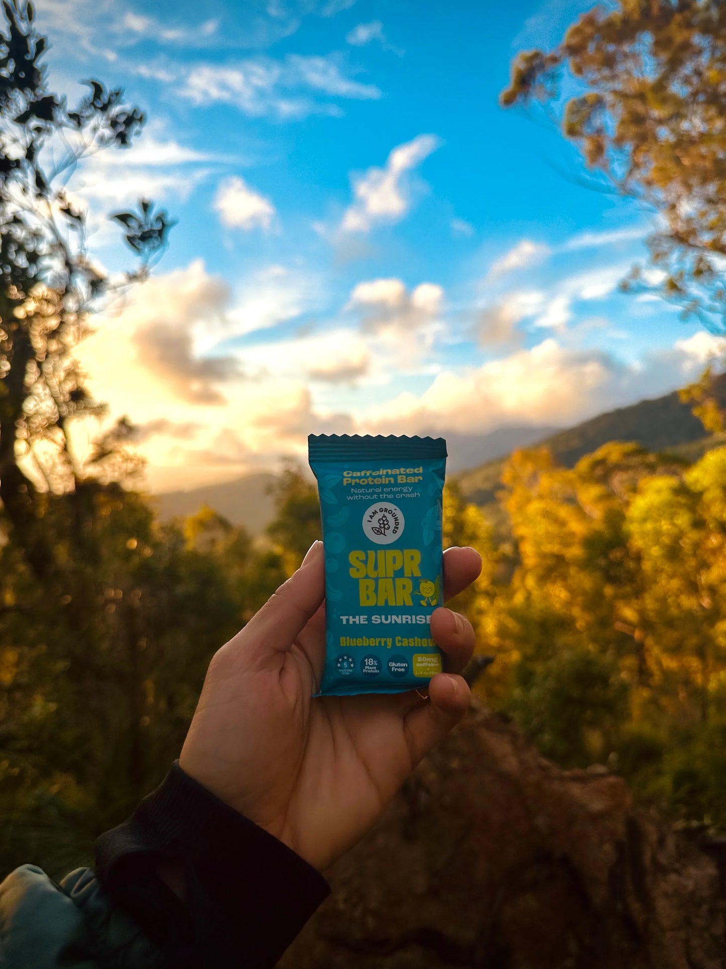 IAMGROUNDED Blueberry Cashew Soft Protein Bar