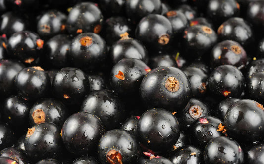 Blackcurrant Benefits