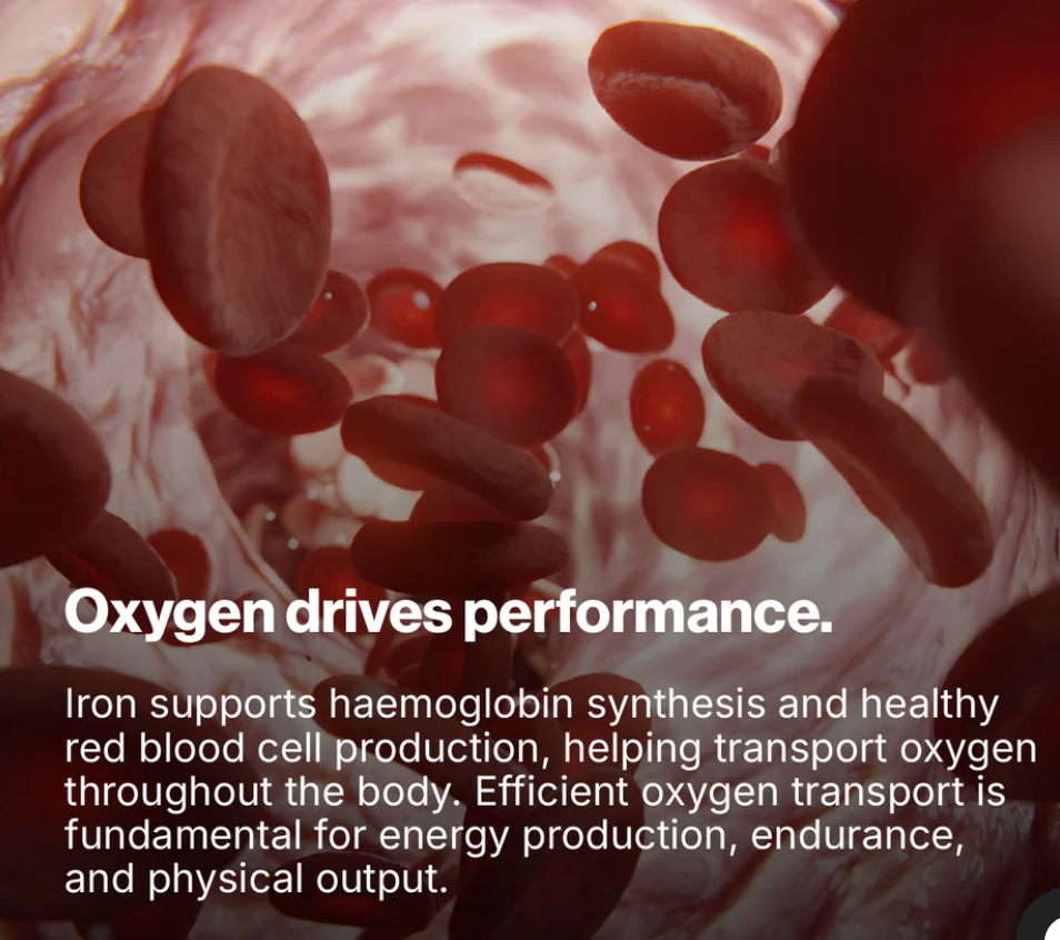 PILLAR Performance Iron Advanced + C